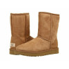Brown women boots classic