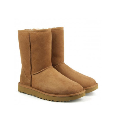 Brown women boots classic